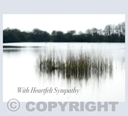Nature's Calm