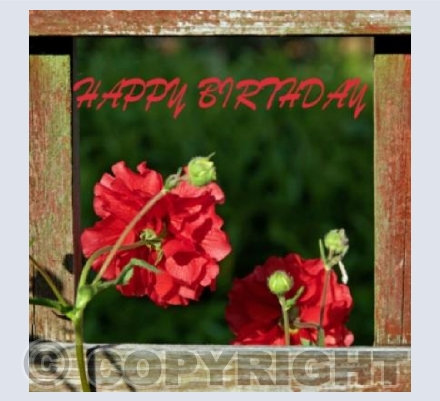 For Someone Special