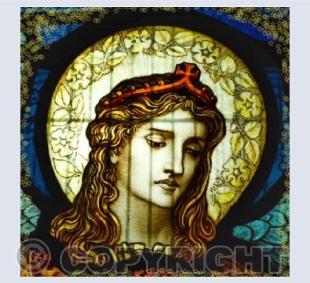 The Face Of Kindness