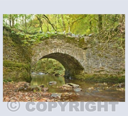 Romantic Exmoor Bridge