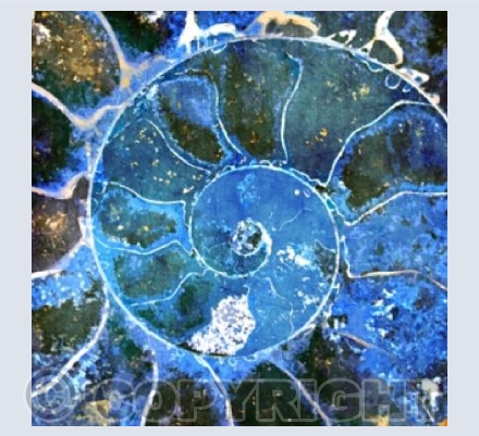 Blue Ammonite