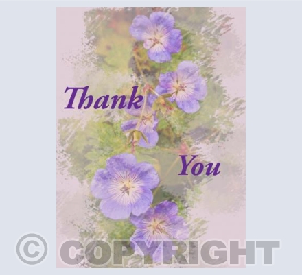 Gratitude