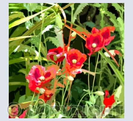 Summer Joy