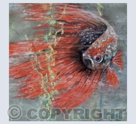 No One To Fight With