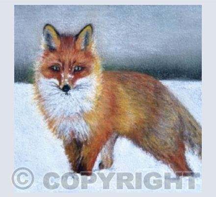 Wading Through The Snow