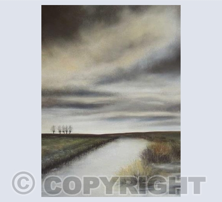 On The Somerset Levels