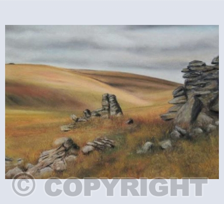 On Dartmoor