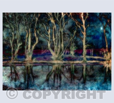The Pond At Midnight