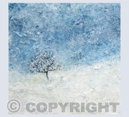 Winter Afternoon