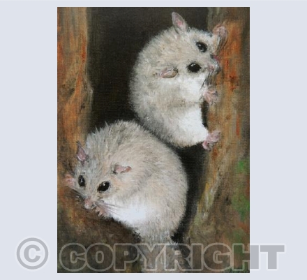 Little Friends