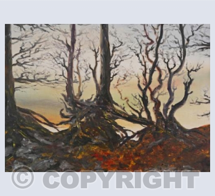 Magical Quantock Trees