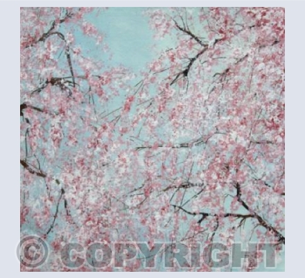Sakura