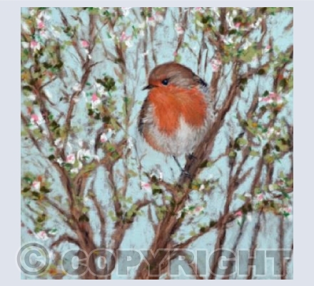 Spring Robin