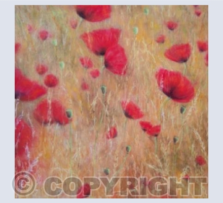 Summer Field