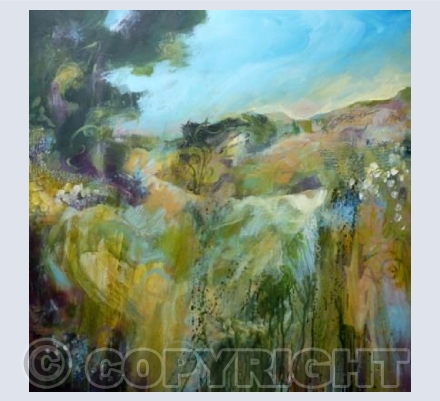 Wind in the Long Grass