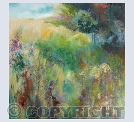 August Field Margins