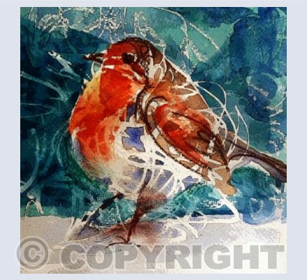Robin in the Frost