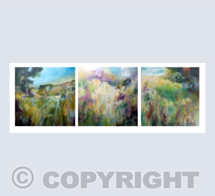 Cornish Hedgerows Series 1