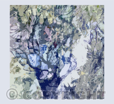 Winter Orchard