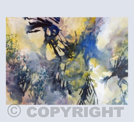 The Path of Water, Trebah Gardens