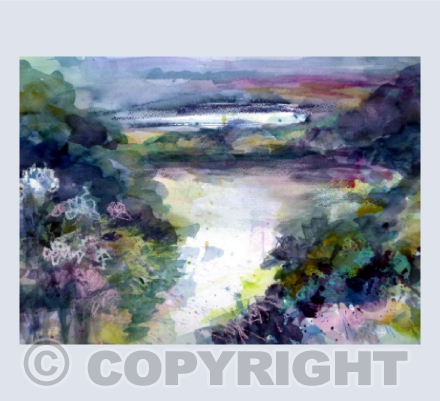 View from the Bridge, Trebah Gardens