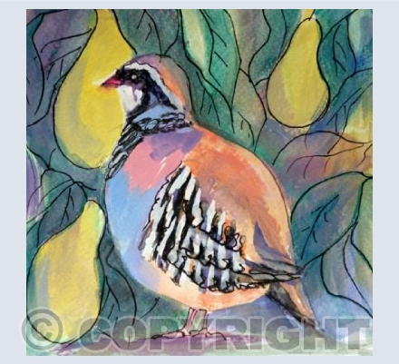 Partridge