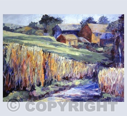 Barns at Haydah