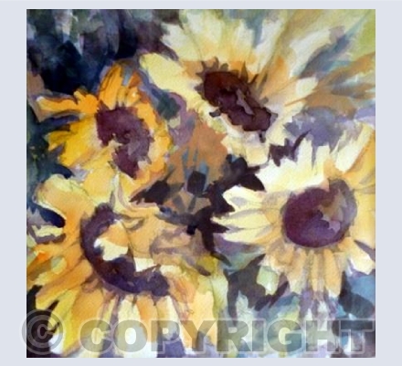 Sunflowers