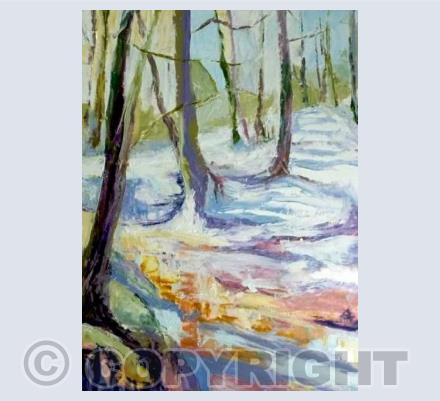 Snow in the Woods