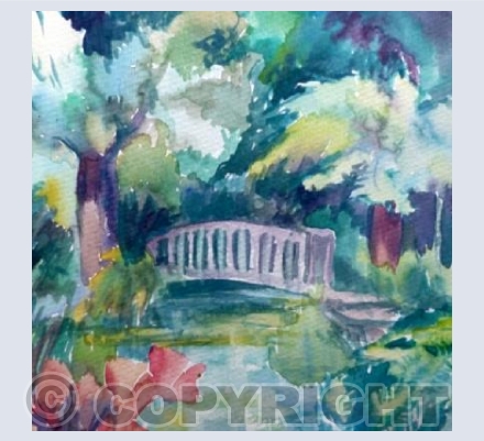 Tree Ferns at Trengwainton