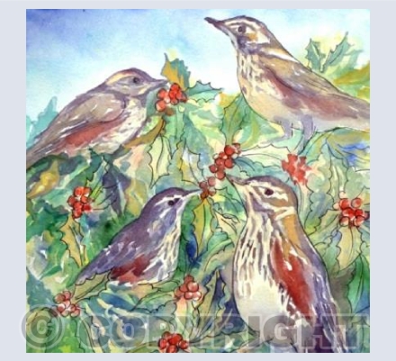 Redwings and Red Berries