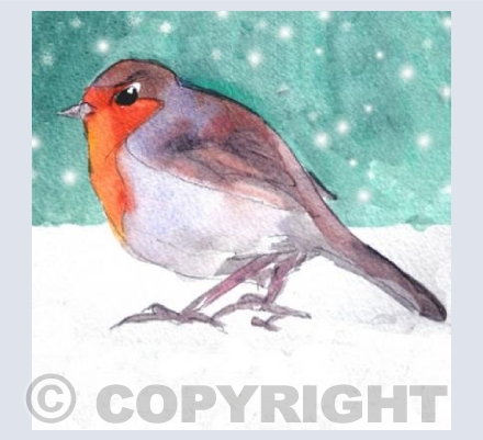 Christmas Robin 2