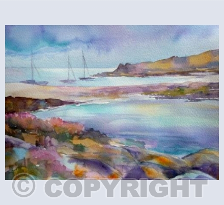 Sea Thrift, St Agnes, Scilly