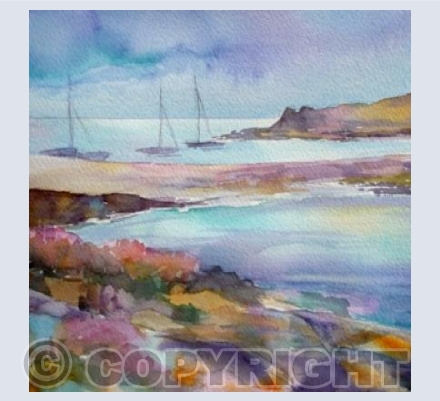 Sea Thrift St Agnes (square)