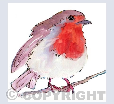 Robin 2