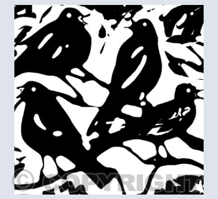Four Colly Birds