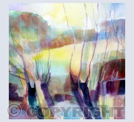 Winter Morning