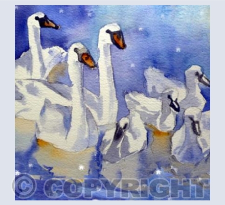 Seven Swans A-Swimming square