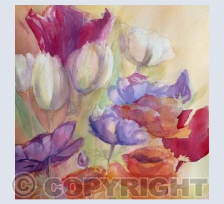 Anemone Tulip & Ranunculus