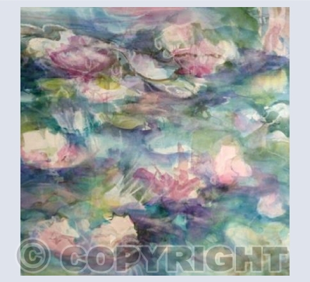 Waterlilies