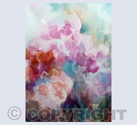 Geraniums