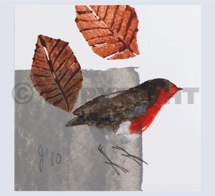 2010 Robin
