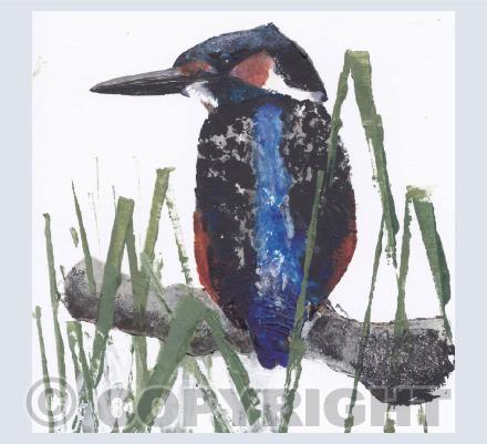 Kingfisher Card