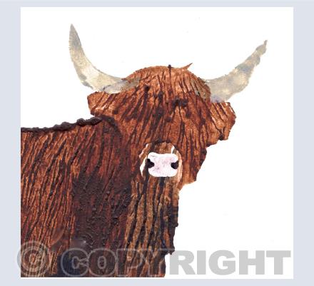 Highland Cow Card