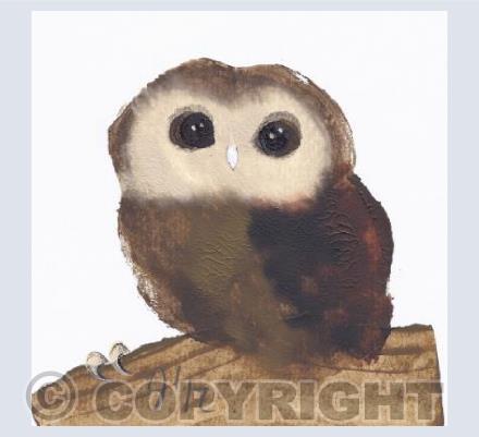Little Owl