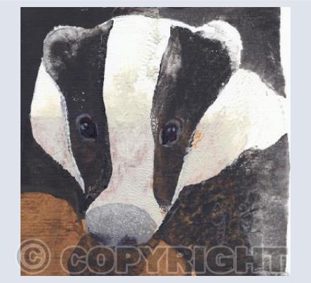 Badger