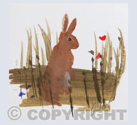 Rabbit