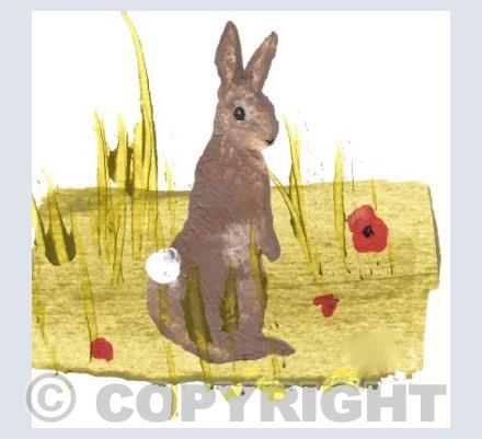 Bobtail Rabbit