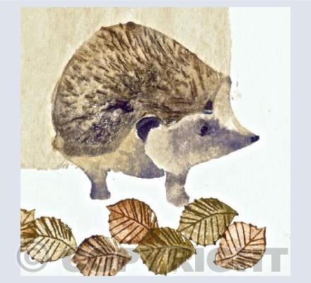 Hedgehog