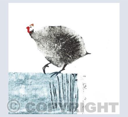 One Guinea Fowl